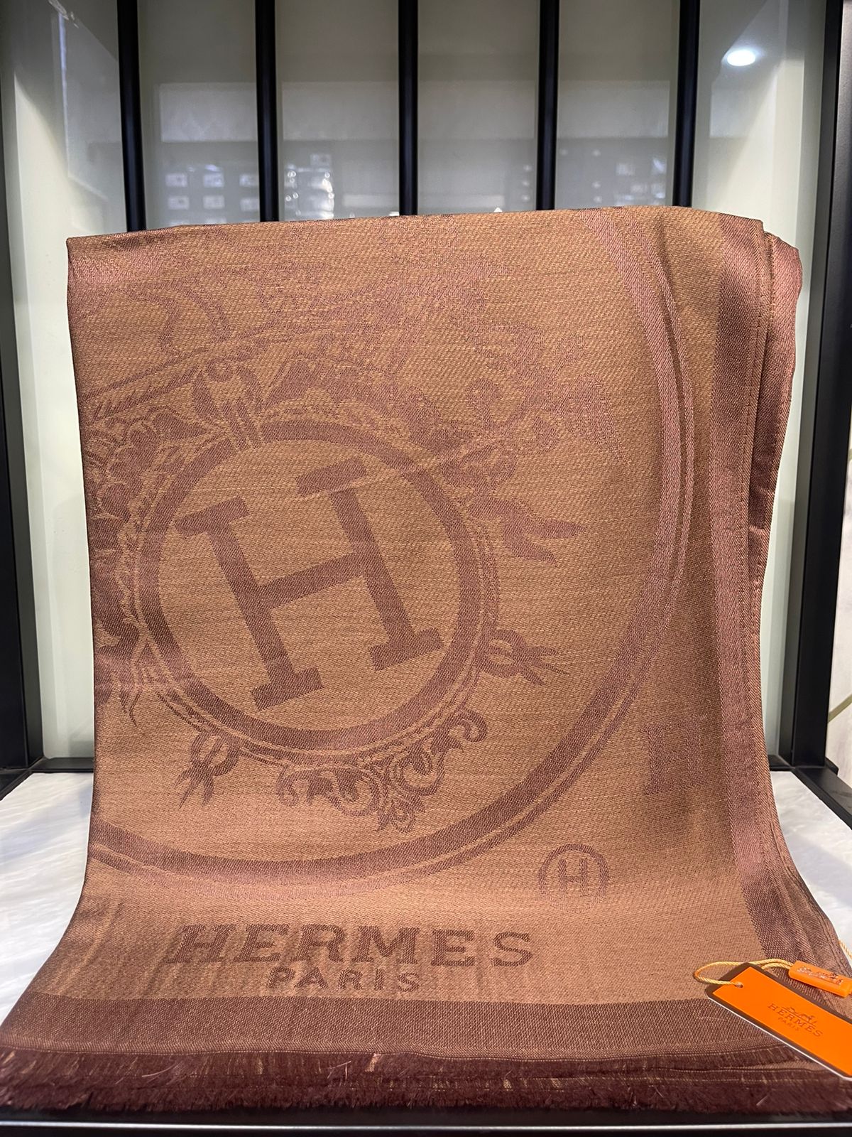 Hermes Printed Scarf/Stole